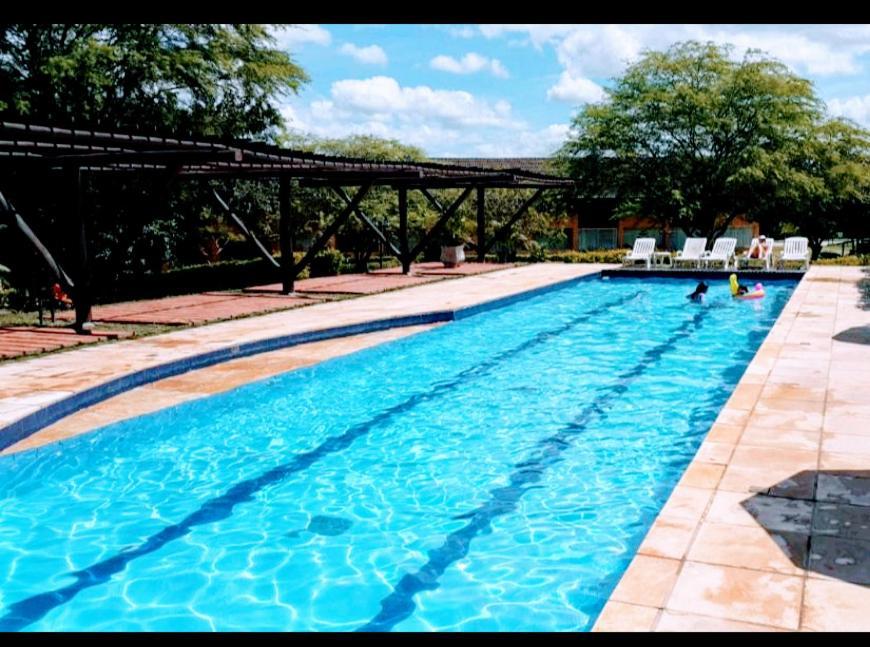Winterville Flat 708 Gravata  Luaran gambar