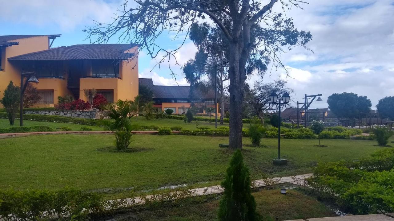 Winterville Flat 708 Gravata  Luaran gambar